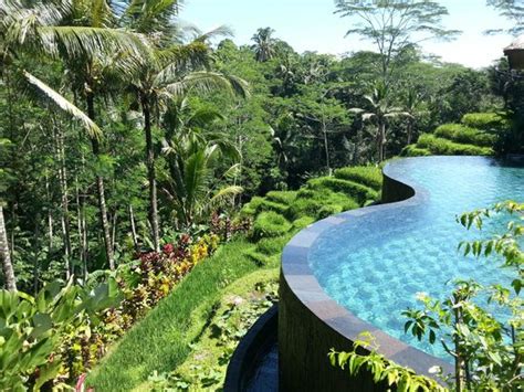 tripadvisor bali|tripadvisor bali ubud.